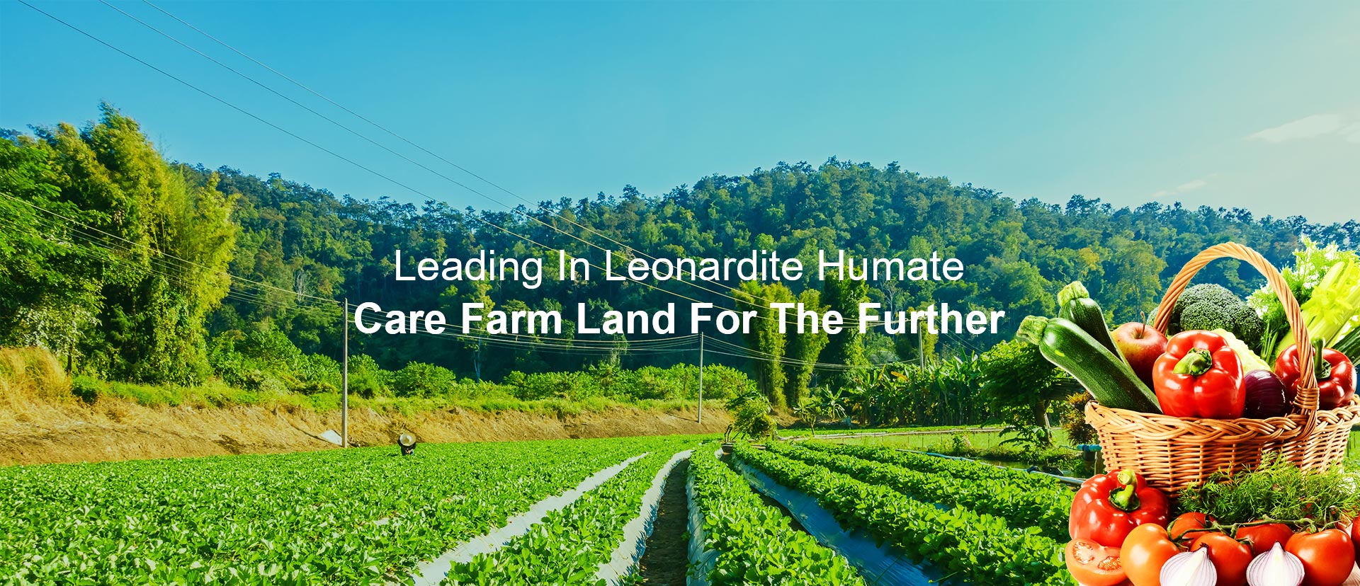 هیومات سدیم