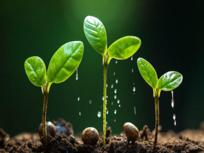 تاثیر اسید هیومیک بر بهبود خاک