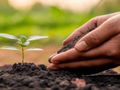 اثر بهبودی اسید هیومیک بر خاک - اثر فیزیکی