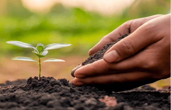 اثر بهبودی اسید هیومیک بر خاک - فیزیکی effect.jpg