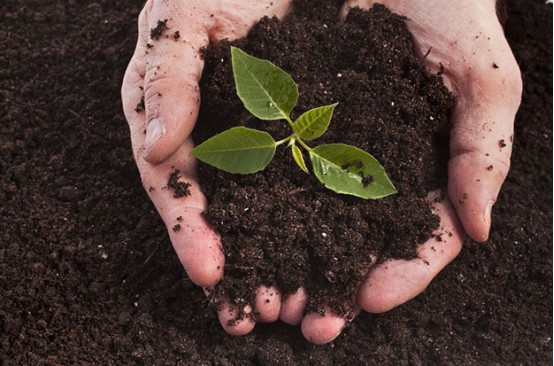 اثر بهبودی هیومیک اسید بر خاک - chemical effect.jpg