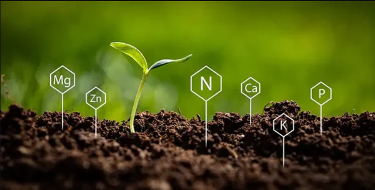 فعال سازی و ذخیره مواد مغذی.jpg