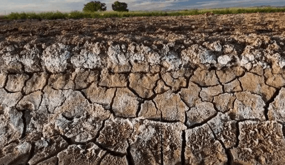 زمین شور-قلیایی.jpg