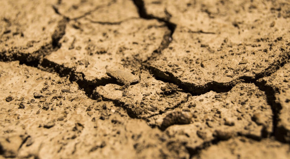 خاک اسیدی شده.jpg