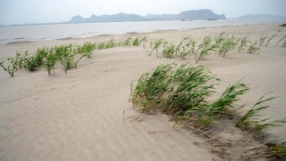 خاک بیابان شده.jpg