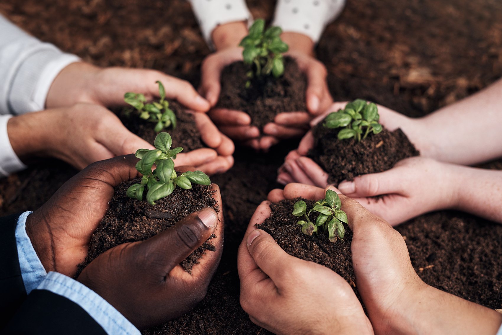 هشت عملکرد و پنج اثر اسید فولویک با منبع معدنی