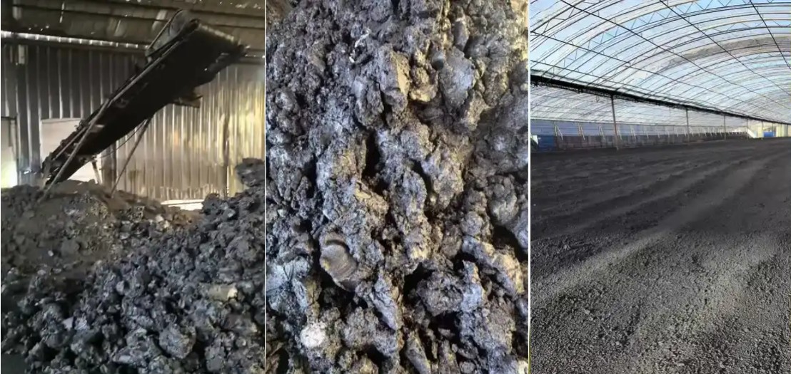 فرآیند تولید.jpg