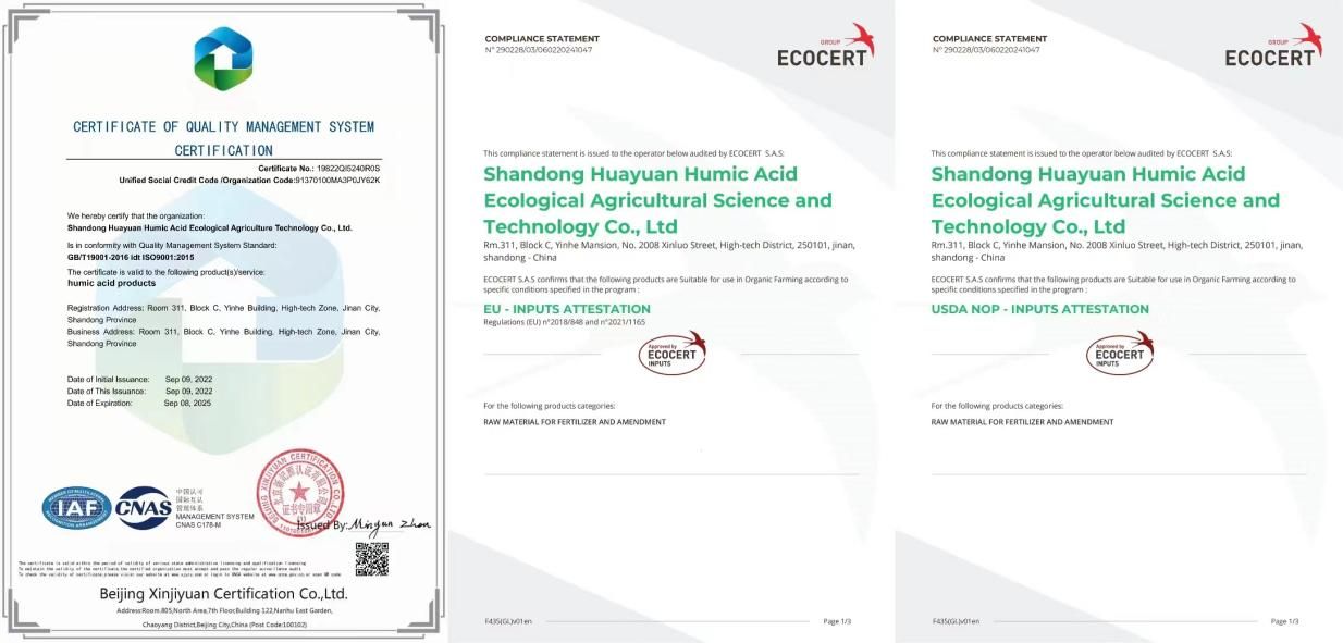 تولید کننده هیومات پتاسیم را با کمترین قیمت عرضه می کند.jpg